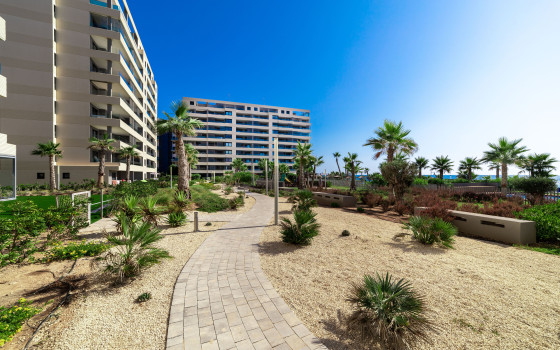 2 bedroom Apartment in Punta Prima - GMD62405 - 29