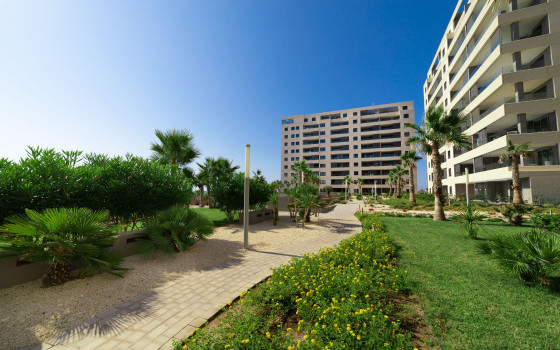 2 bedroom Apartment in Punta Prima - GMD62405 - 31