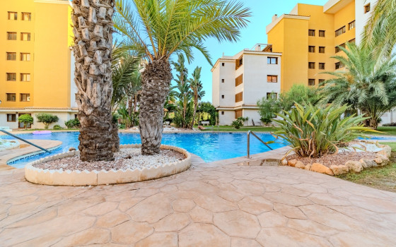 2 bedroom Apartment in Punta Prima - LR61713 - 24