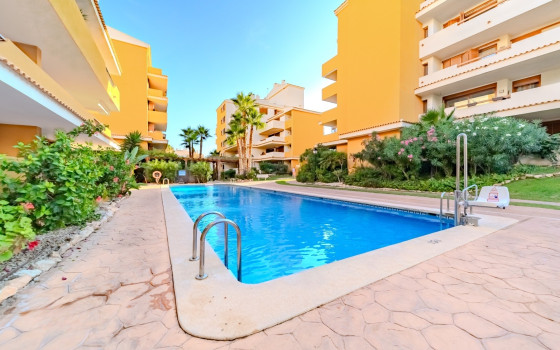 2 bedroom Apartment in Punta Prima - LR61713 - 25