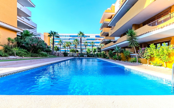 2 bedroom Apartment in Punta Prima - LR61713 - 26