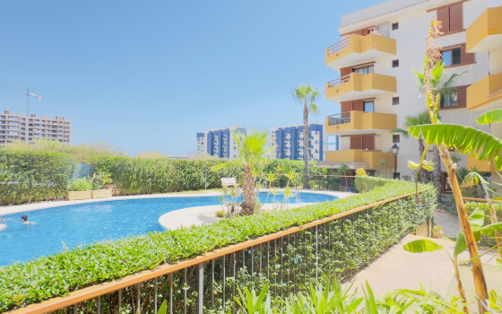 2 bedroom Apartment in Punta Prima - LR61720 - 1