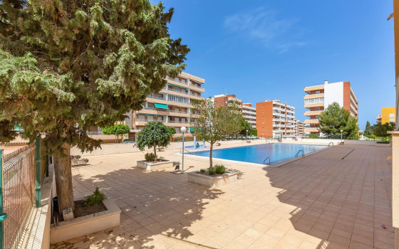 https://wtgspain.com/small/2-bedroom-apartment-in-torrevieja-id-cbh57071-1600372.jpg