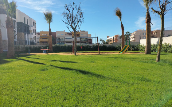 2 ložnice Apartmán v Playa Flamenca - DI38080 - 7