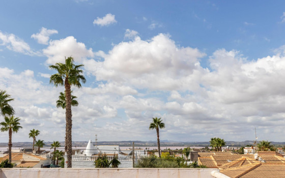 2 Schlafzimmer Bungalow in Torrevieja - GVS63687 - 19