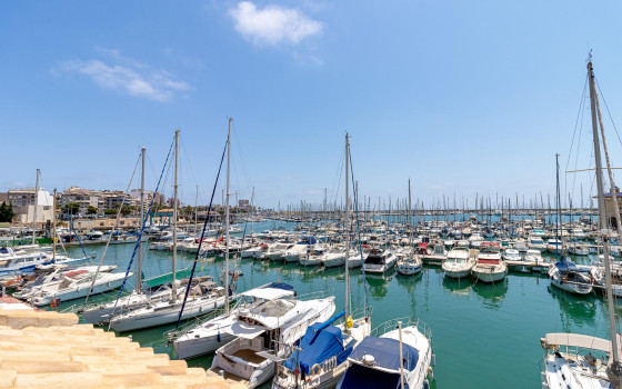 2 Schlafzimmer Bungalow in Torrevieja - TIM62359 - 27