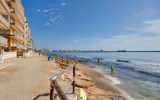 2 Schlafzimmer Bungalow in Torrevieja - TIM63670 - 33