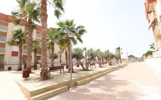 2 Schlafzimmer Penthouse-Wohnung in Lomas de Cabo Roig - CRR58084 - 17