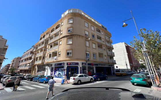 https://wtgspain.com/small/3-bedroom-apartment-in-torrevieja-id-csw37132-1319931.jpg