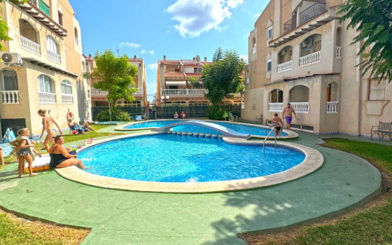 3 bedroom Apartment in Torrevieja - MVR63232 - 1