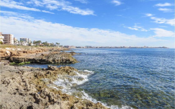 3 bedroom Bungalow in Torrevieja - HRE60828 - 17