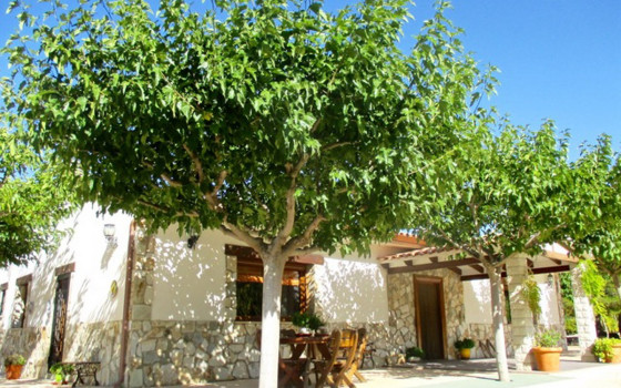 https://wtgspain.com/small/3-bedroom-villa-in-petrer-id-wi62461-1677113.jpg