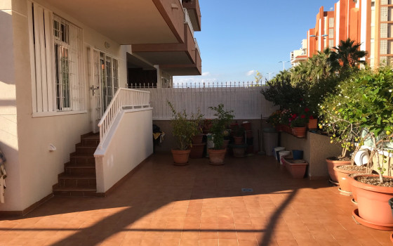 https://wtgspain.com/small/3-loznice-apartman-v-guardamar-del-segura-id-jlm49970-1500094.jpg