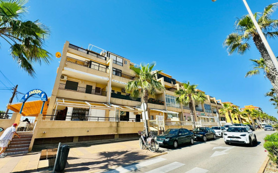 3 ložnice Apartmán v La Mata - TIM55023 - 1