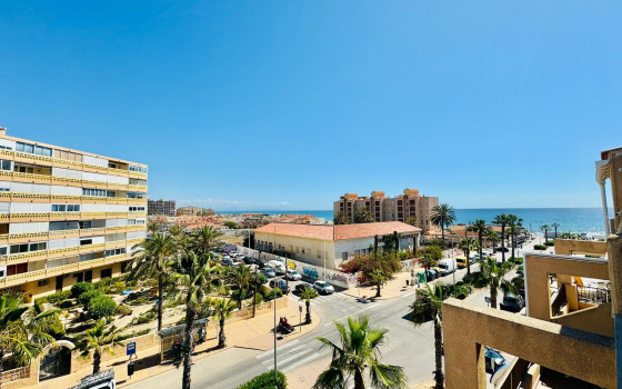 3 ložnice Apartmán v La Mata - TIM55023 - 21