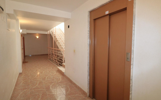 3 ložnice Penthouse v Torrevieja - PSA49856 - 21