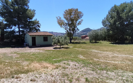  Pozemek v Denia- TDDD37113 - Foto - 1