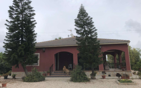4 Schlafzimmer Villa in Callosa De Segura - TT40198 - Foto - 1