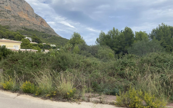 Parcela de  en Jávea- BES45521 - Foto - 1