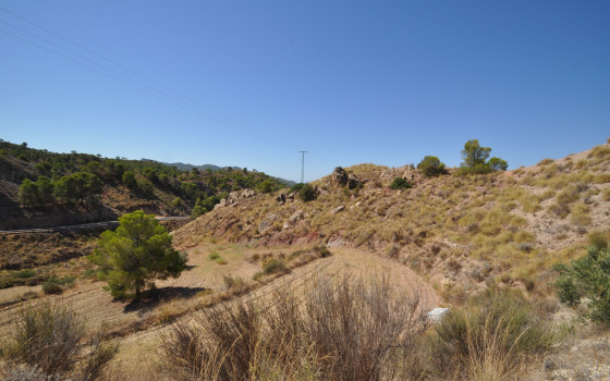 Terrain de  à Murcia- SIP148316 - Photo - 1
