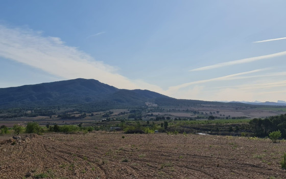  Pozemek v Jumilla- SIP67525 - Foto - 1