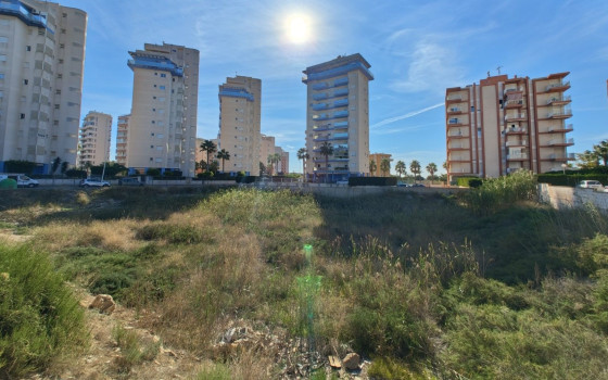  Plot in Guardamar del Segura- SV68613 - Photo - 1