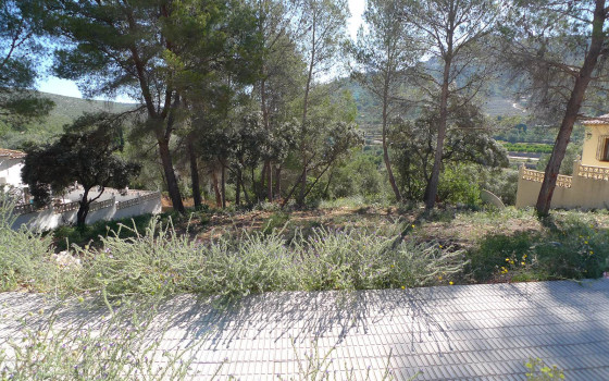  Pozemek v Alcalalí- PGP70400 - Foto - 1