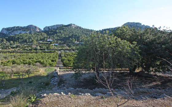 Terrain de  à Benimeli- PGP70448 - Photo - 1