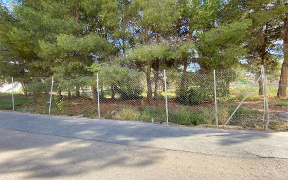 Parcela de  en La Nucía- CPP83023 - Foto - 1