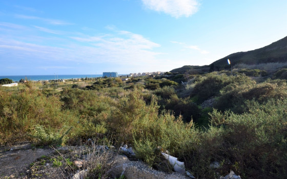  Grundstück in Guardamar del Segura- NSP77241 - Foto - 1