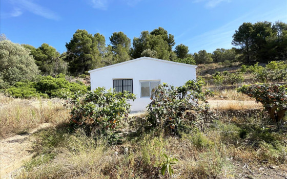  Plot in Callosa de Ensarriá- IMBR88981 - Photo - 1
