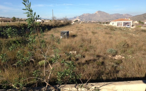  Plot in Hondón de los Frailes- CNM93008 - Photo - 1