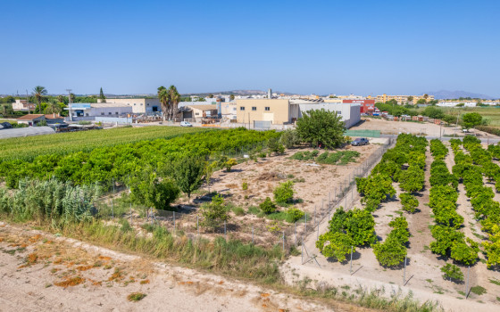 Pozemek   v Formentera del Segura, - SRT98040 - Foto - 1