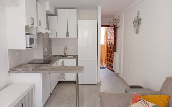 Apartament cu 1 dormitor în Mil Palmeras - PLM60628 - 6