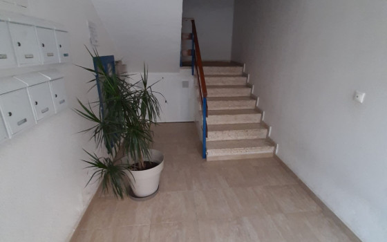 Apartament cu 2 dormitoare în Torrevieja - TT62239 - 11