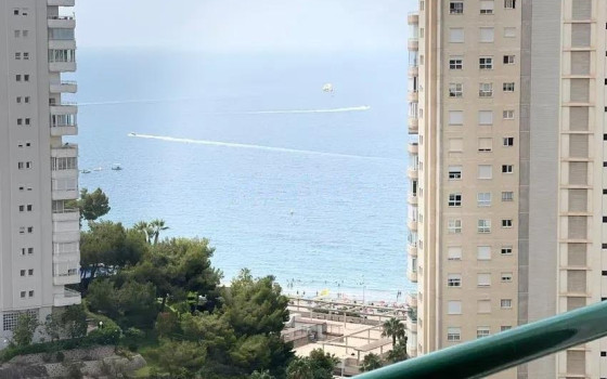 Apartament cu 3 dormitoare în Benidorm - CPP62095 - 16