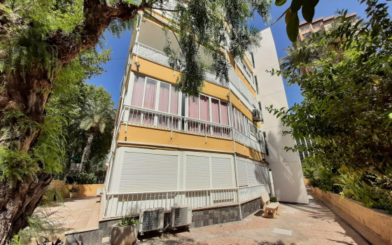 https://wtgspain.com/small/apartament-v-benidorm-1-spalnia-id-cpp63037-1682443.jpg