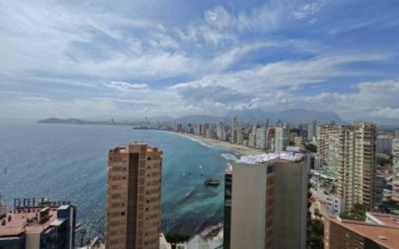 Apartament w Benidorm, 2 sypialnie - CPP60023 - 16