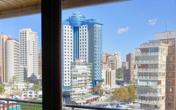 Apartament w Benidorm, 4 sypialnie - CPP59933 - 3