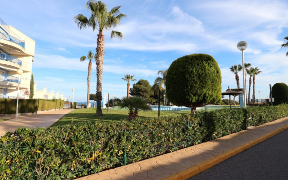 Apartament w Cabo Roig, 2 sypialnie - DMS57975 - 27