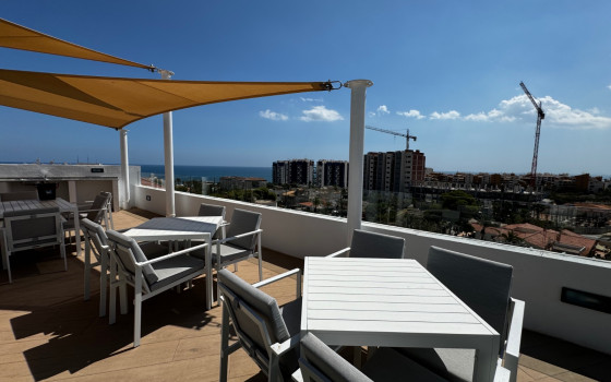 Apartament w Punta Prima, 3 sypialnie - LR62211 - 29