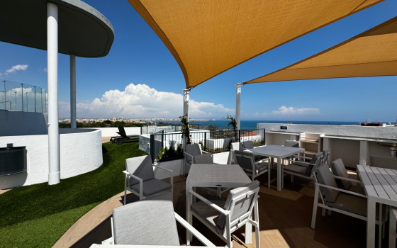 Apartament w Punta Prima, 3 sypialnie - LR62211 - 30