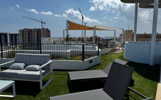 Apartament w Punta Prima, 3 sypialnie - LR62211 - 32