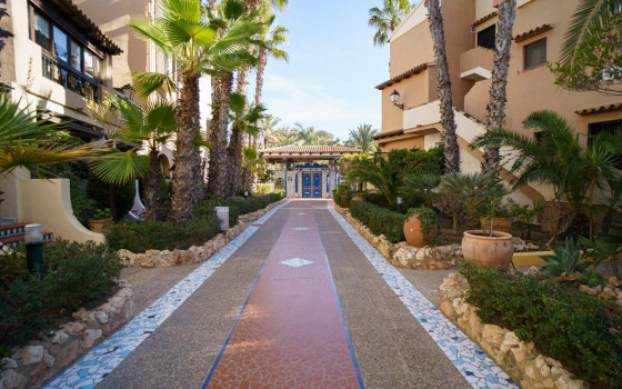 Apartament w Torrevieja, 3 sypialnie - HRE57959 - 38