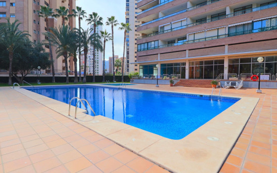 Appartement de 1 chambre à Benidorm - CPP59966 - 2