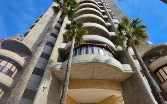 Appartement de 3 chambres à Benidorm - CPP60049 - 4