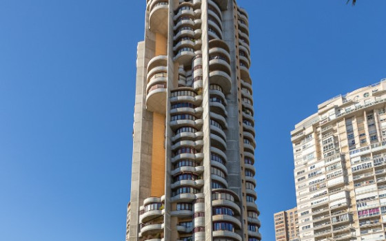 Appartement de 3 chambres à Benidorm - CPP60049 - 21