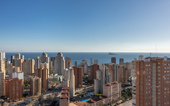 Appartement de 3 chambres à Benidorm - CPP60049 - 23