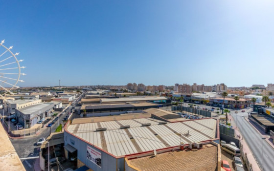 Ático de 2 habitaciones en Torrevieja - PPS60112 - 24