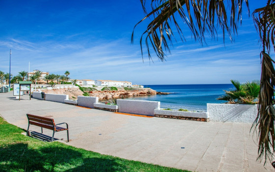 Bungalow w Playa Flamenca, 2 sypialnie - MRS50313 - 39